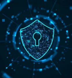 Cam Shield Security Solutions